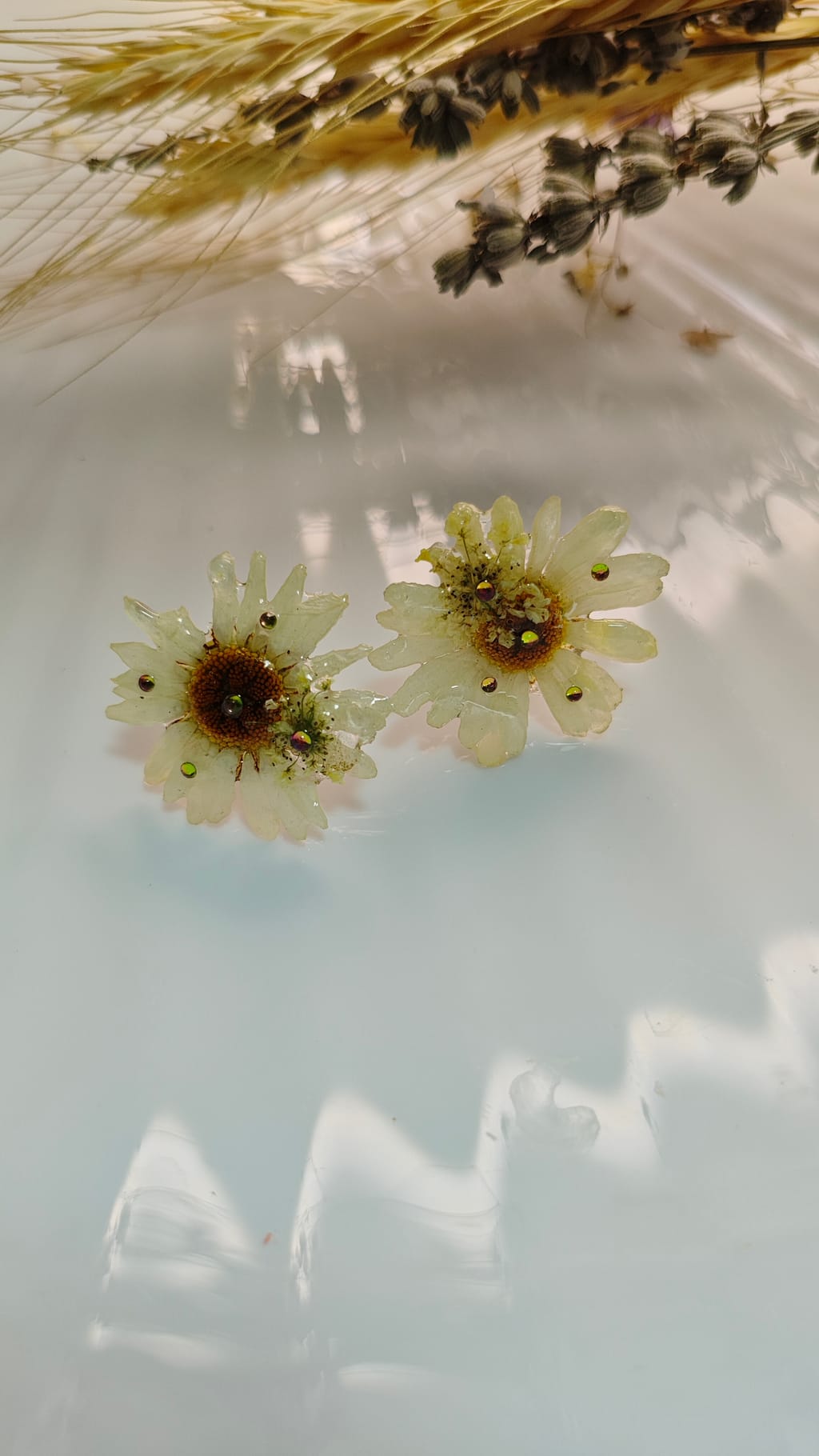 🌼 Sărutul Soarelui: Cercei Stud cu Margarete Naturale - Image 1